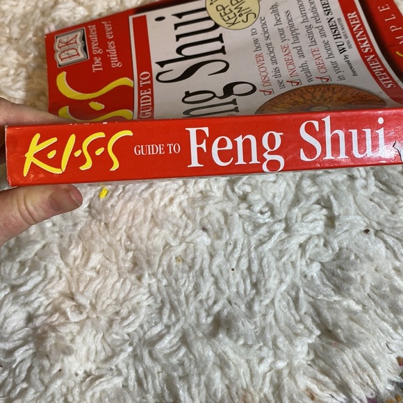GUIDE to FENG SHUI - KISS -KEEP IT SIMPLE SERIES Stephen Skinner Heavy P… - Picture 10 of 11